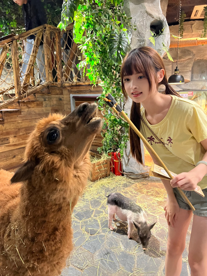 鬼怪 封面